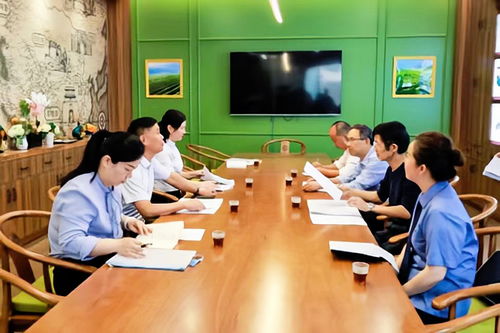 為縣域治理貢獻法治力量 赤壁推行首席法律咨詢'54321'工作法